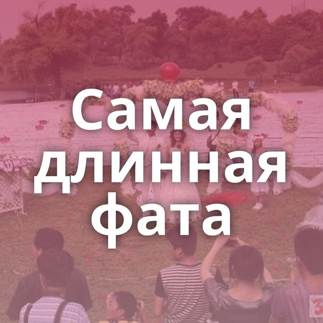 Самая длинная фата