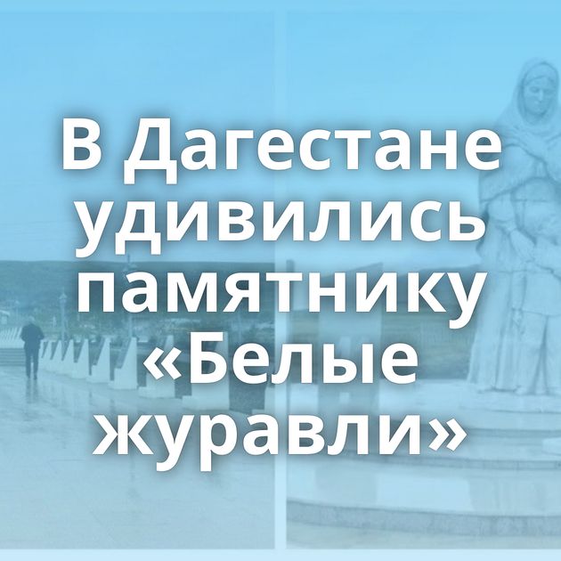 В Дагестане удивились памятнику «Белые журавли»