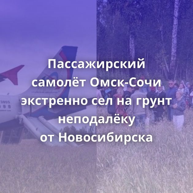 Пассажирский самолёт Омск-Сочи экстренно сел на грунт неподалёку от Новосибирска