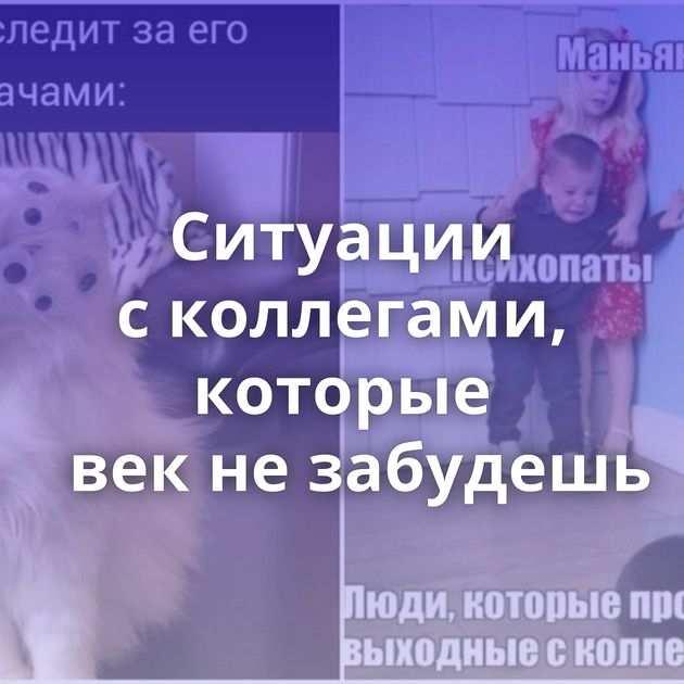 Ситуации с коллегами, которые век не забудешь