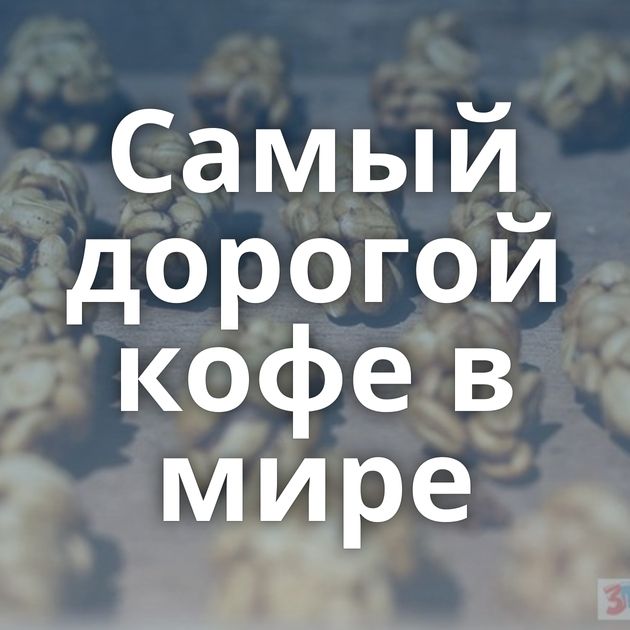 Самый дорогой кофе в мире