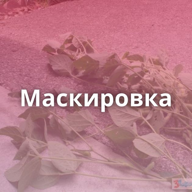 Маскировка