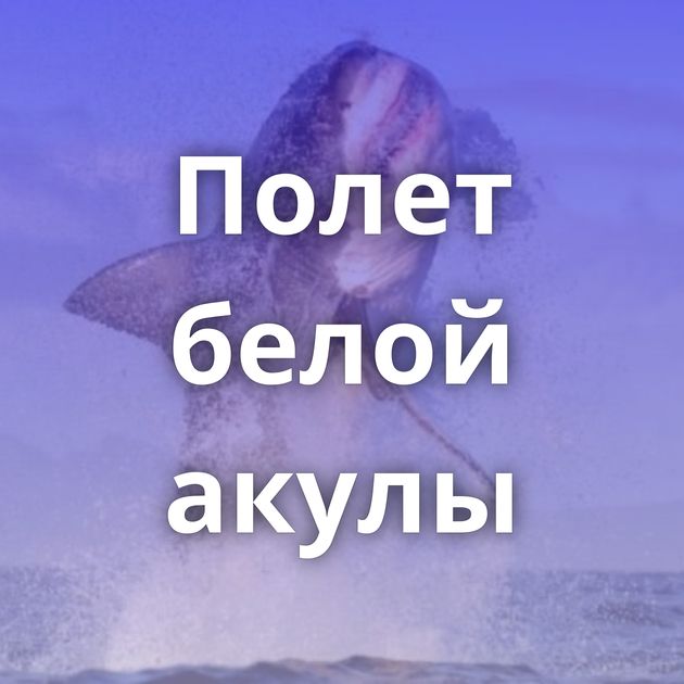 Полет белой акулы