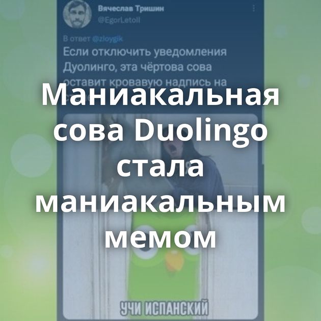 Маниакальная сова Duolingo стала маниакальным мемом