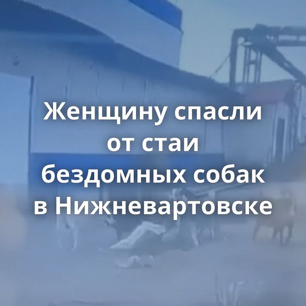 Женщину спасли от стаи бездомных собак в Нижневартовске