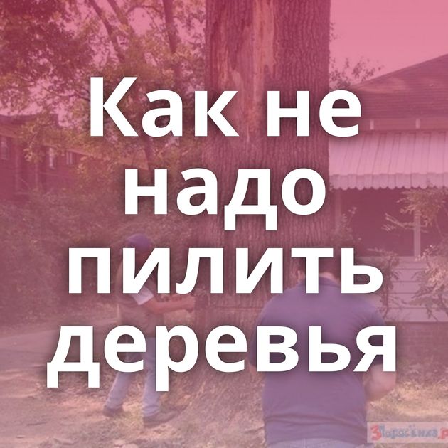 Как не надо пилить деревья