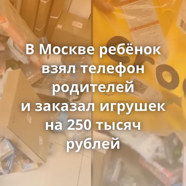 В Москве ребёнок взял телефон родителей и заказал игрушек на 250 тысяч рублей