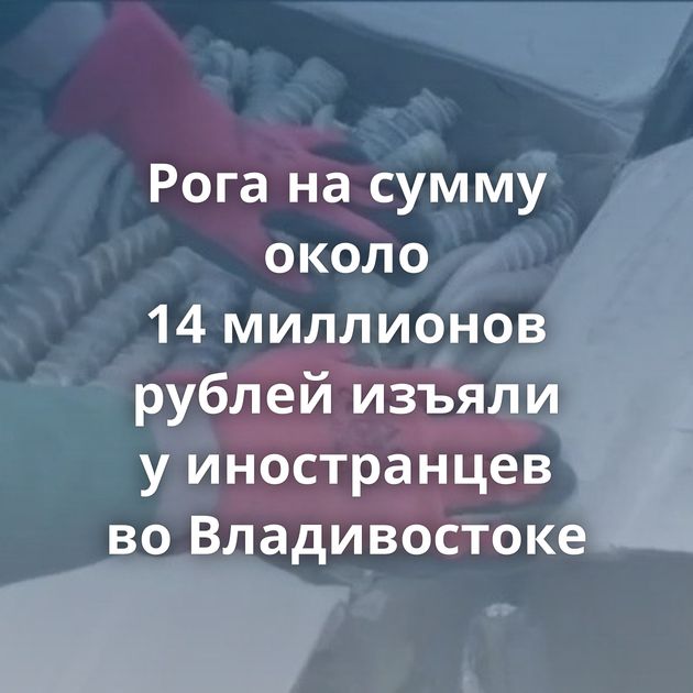 Рога на сумму около 14 миллионов рублей изъяли у иностранцев во Владивостоке