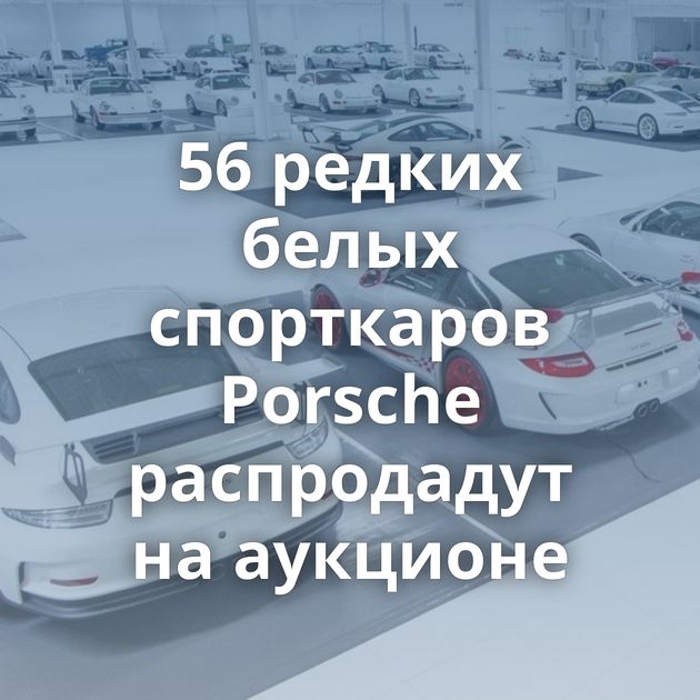 56 редких белых спорткаров Porsche распродадут на аукционе