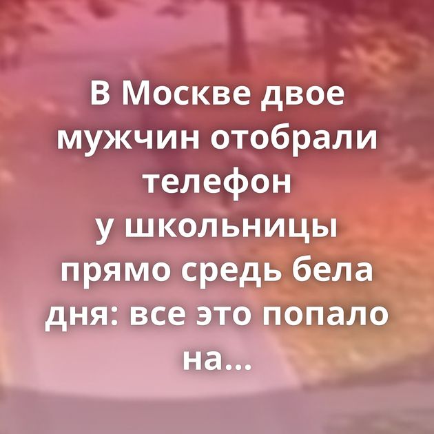 В Москве двое мужчин отобрали телефон у школьницы прямо средь бела дня: все это попало на видео