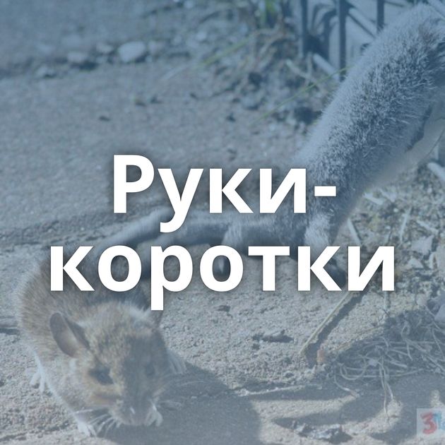 Руки-коротки