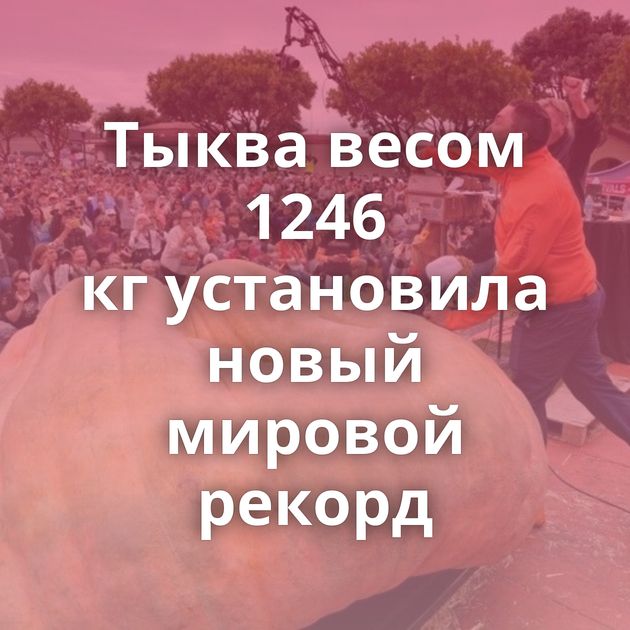 Тыква весом 1246 кг установила новый мировой рекорд