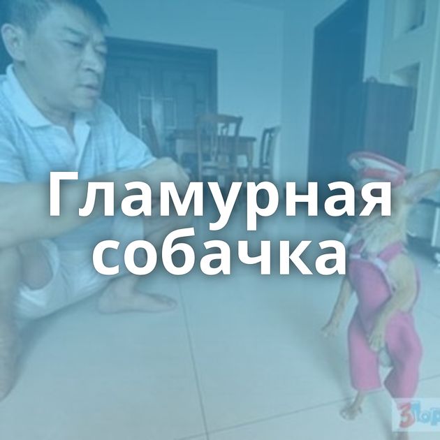 Гламурная собачка