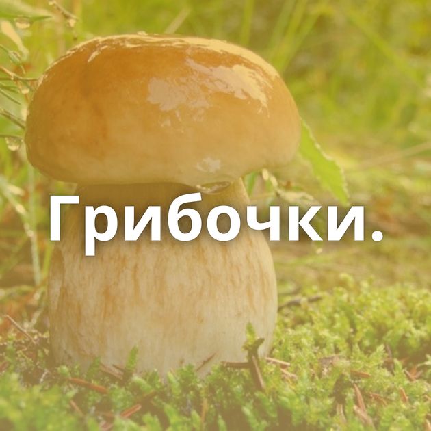 Грибочки.