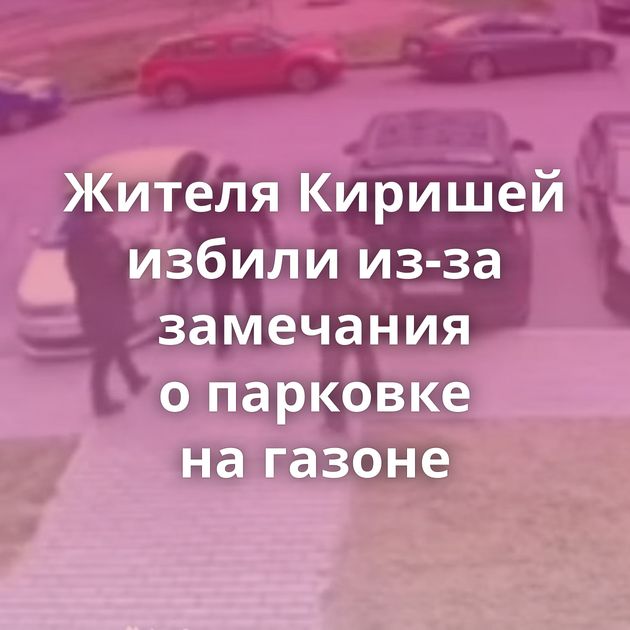 Жителя Киришей избили из-за замечания о парковке на газоне