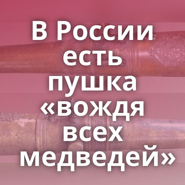 В России есть пушка «вождя всех медведей»