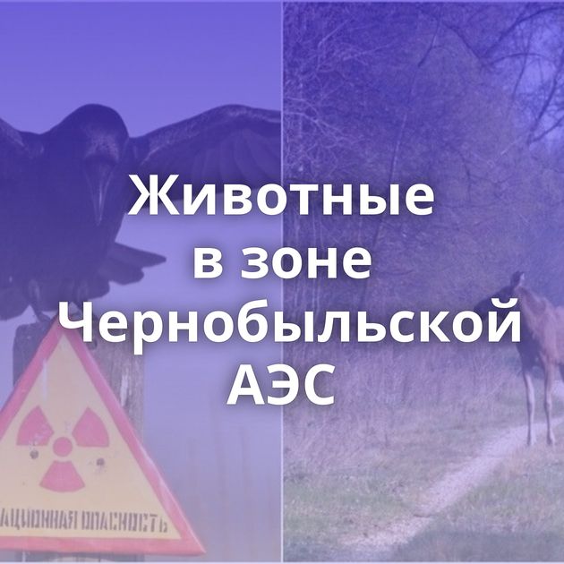 Животные в зоне Чернобыльской АЭС