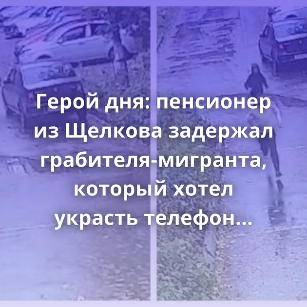Герой дня: пенсионер из Щелкова задержал грабителя-мигранта, который хотел украсть телефон у школьника