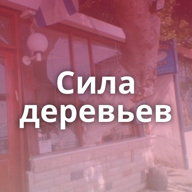 Сила деревьев