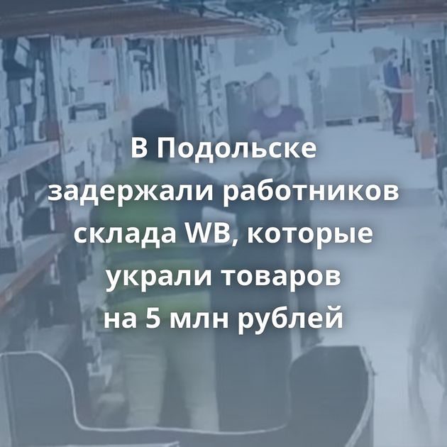 В Подольске задержали работников склада WB, которые украли товаров на 5 млн рублей