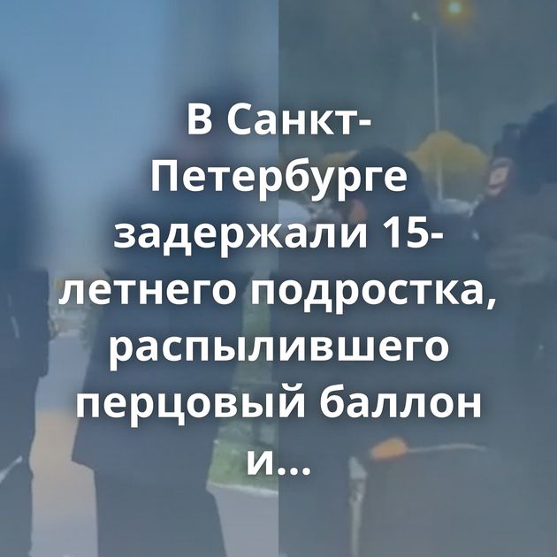 В Санкт-Петербурге задержали 15-летнего подростка, распылившего перцовый баллон и сопротивлявшегося…