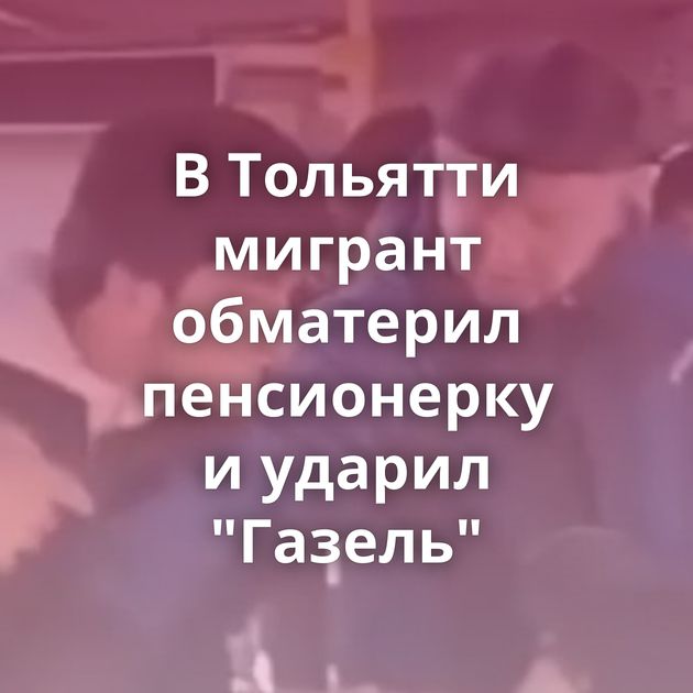 В Тольятти мигрант обматерил пенсионерку и ударил 