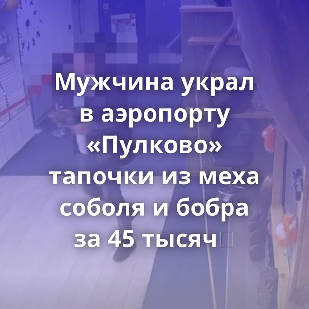 Мужчина украл в аэропорту «Пулково» тапочки из меха соболя и бобра за 45 тысяч⠀