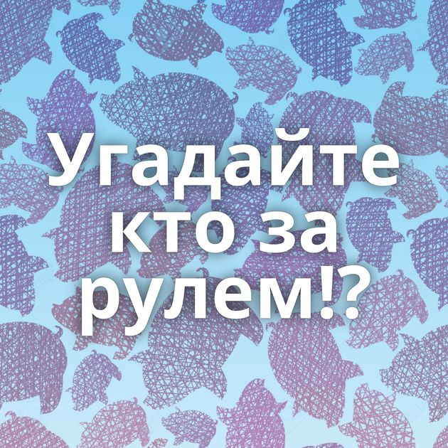 Угадайте кто за рулем!?