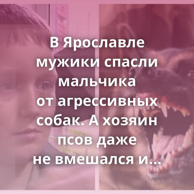 В Ярославле мужики спасли мальчика от агрессивных собак. А хозяин псов даже не вмешался и спокойно…