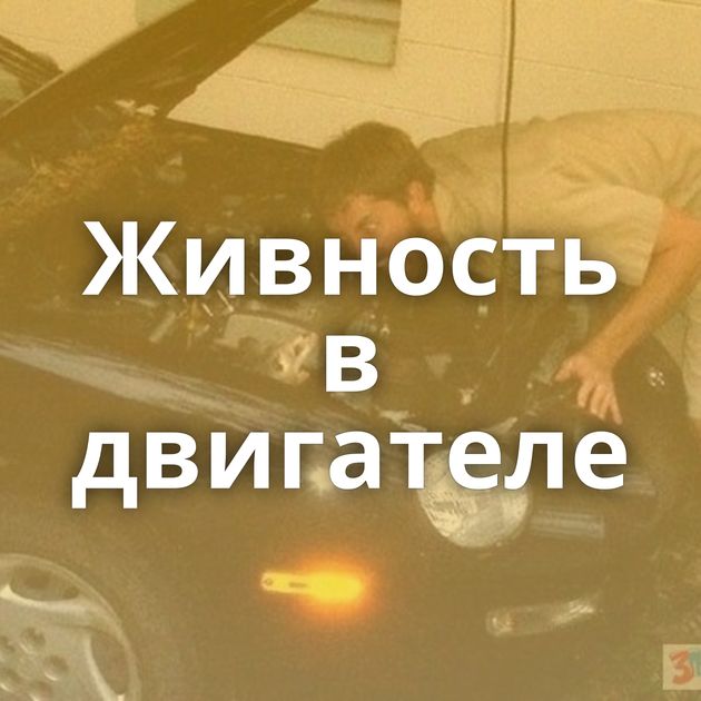 Живность в двигателе