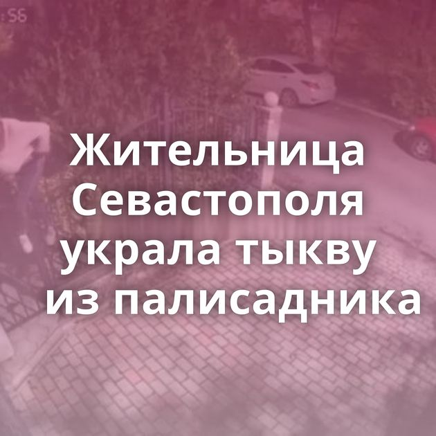 Жительница Севастополя украла тыкву из палисадника