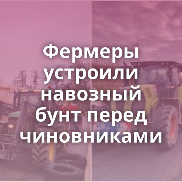 Фермеры устроили навозный бунт перед чиновниками