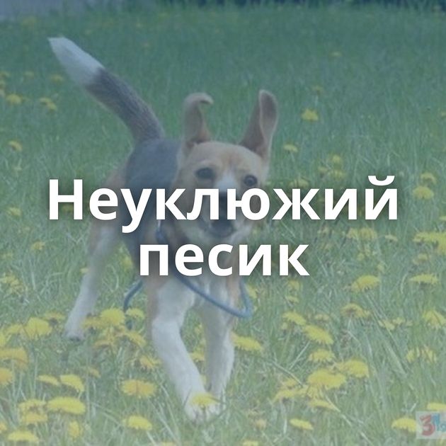 Неуклюжий песик