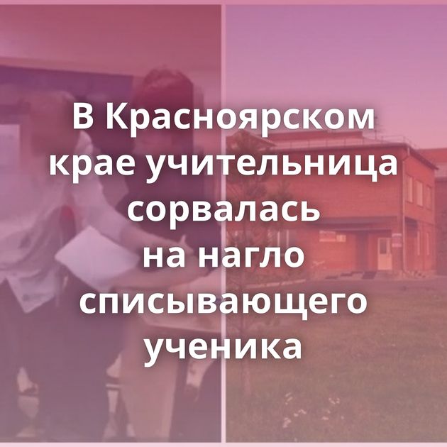 В Красноярском крае учительница сорвалась на нагло списывающего ученика