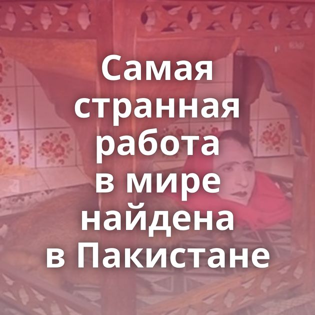 Самая странная работа в мире найдена в Пакистане