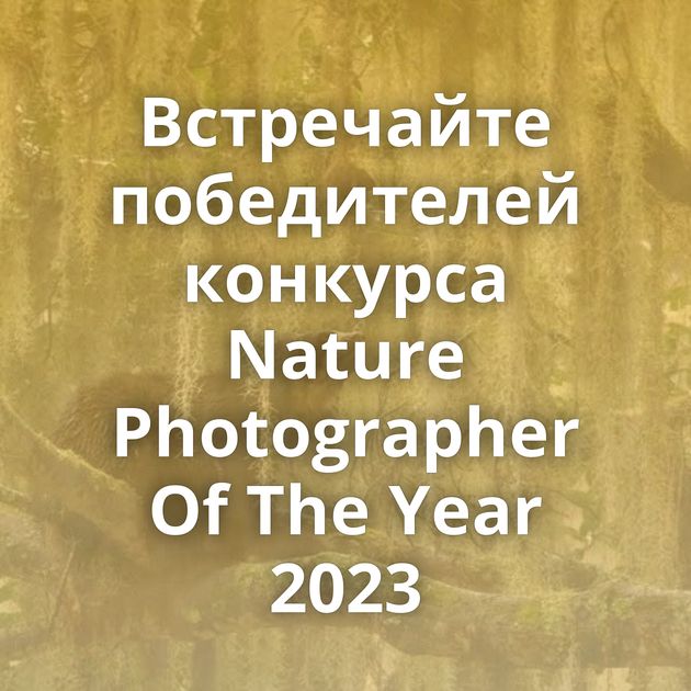 Встречайте победителей конкурса Nature Photographer Of The Year 2023