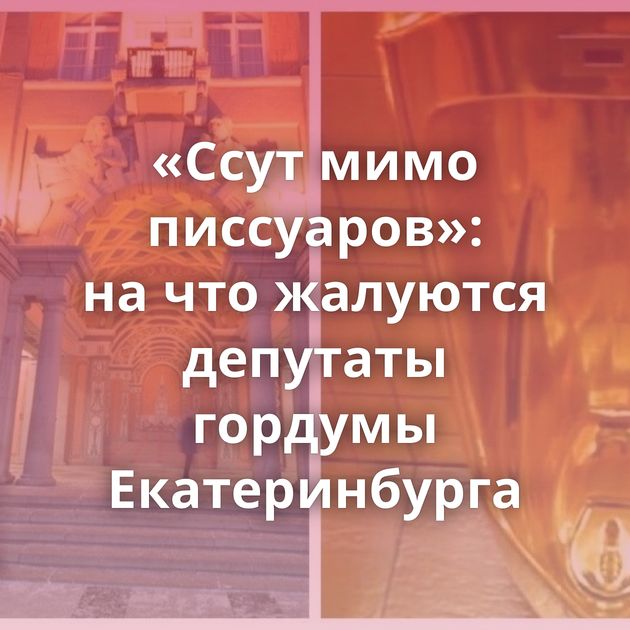 «Ссут мимо писсуаров»: на что жалуются депутаты гордумы Екатеринбурга