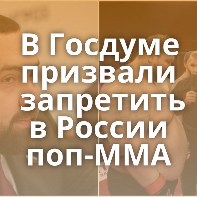 В Госдуме призвали запретить в России поп-MMA