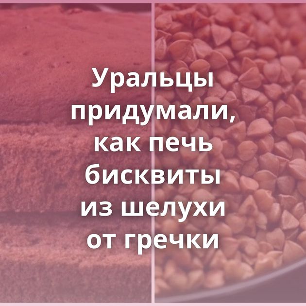 Уральцы придумали, как печь бисквиты из шелухи от гречки