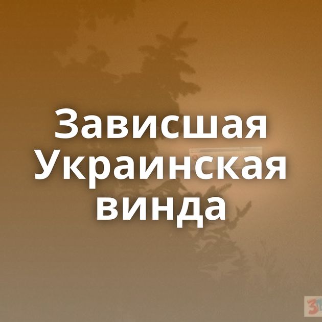 Зависшая Украинская винда