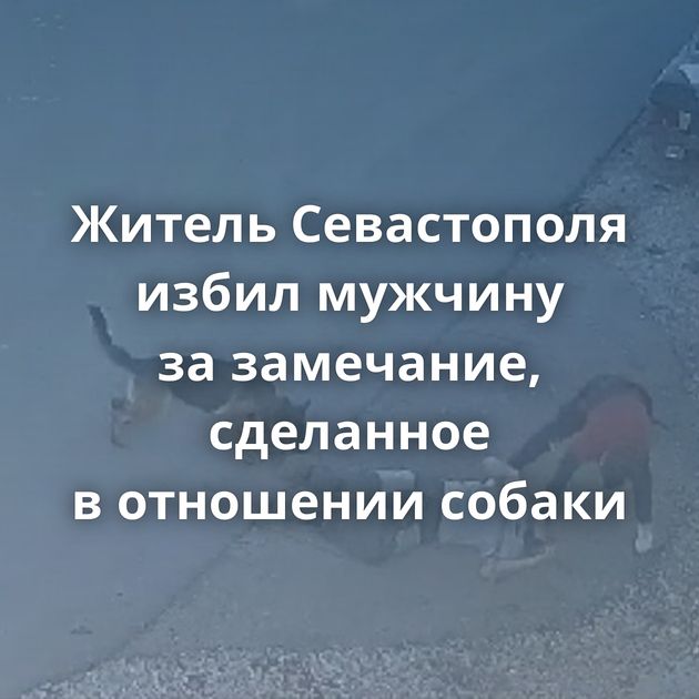Житель Севастополя избил мужчину за замечание, сделанное в отношении собаки