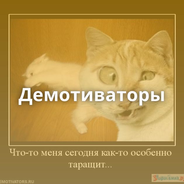 Демотиваторы