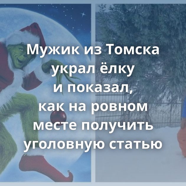 Мужик из Томска украл ёлку и показал, как на ровном месте получить уголовную статью