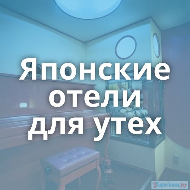 Японские отели для утех