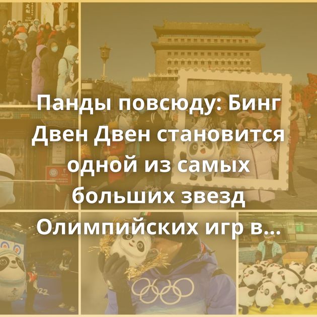 Панды повсюду: Бинг Двен Двен становится одной из самых больших звезд Олимпийских игр в Пекине