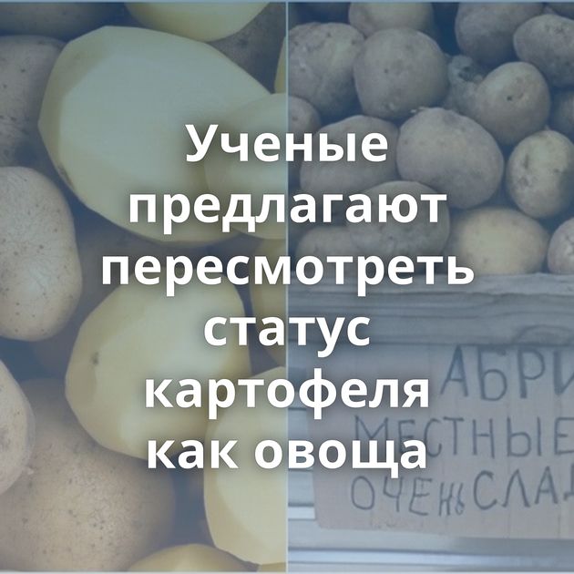 Ученые предлагают пересмотреть статус картофеля как овоща