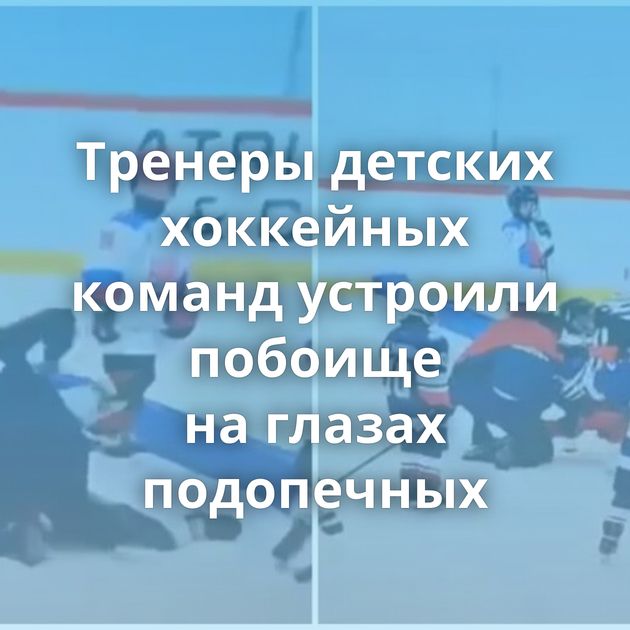 Тренеры детских хоккейных команд устроили побоище на глазах подопечных