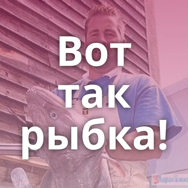 Вот так рыбка!