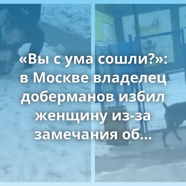 «Вы с ума сошли?»: в Москве владелец доберманов избил женщину из-за замечания об отсутствии намордников