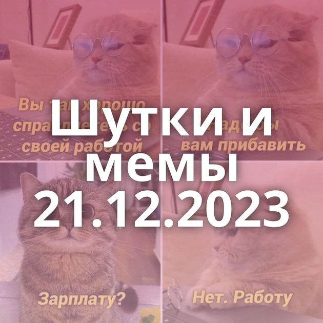 Шутки и мемы 21.12.2023